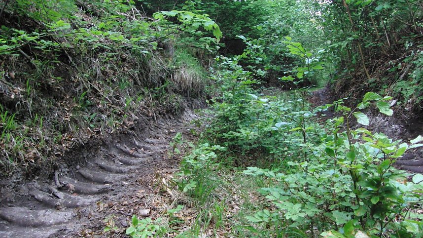 Bulldozer im Alten Stolberg