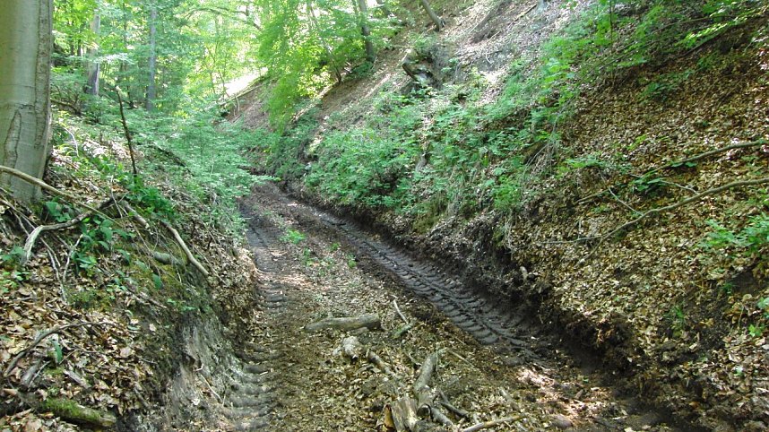 Bulldozer im Alten Stolberg
