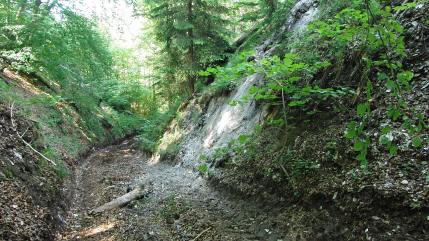Bulldozer im Alten Stolberg