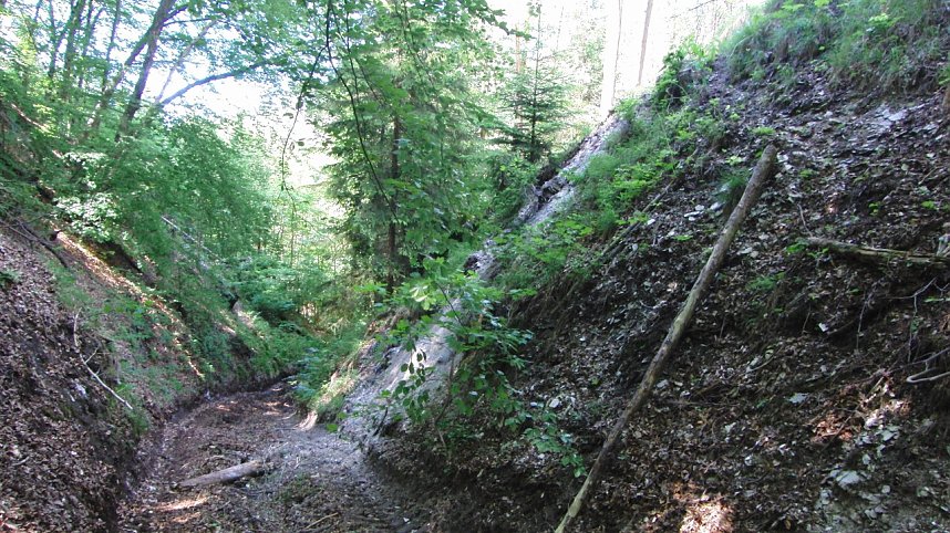 Bulldozer im Alten Stolberg