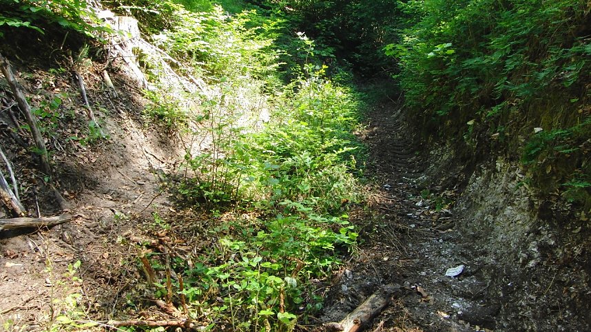 Bulldozer im Alten Stolberg