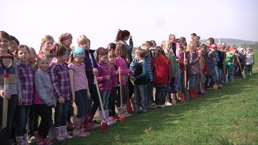 Laubb&auml;ume gepflanzt