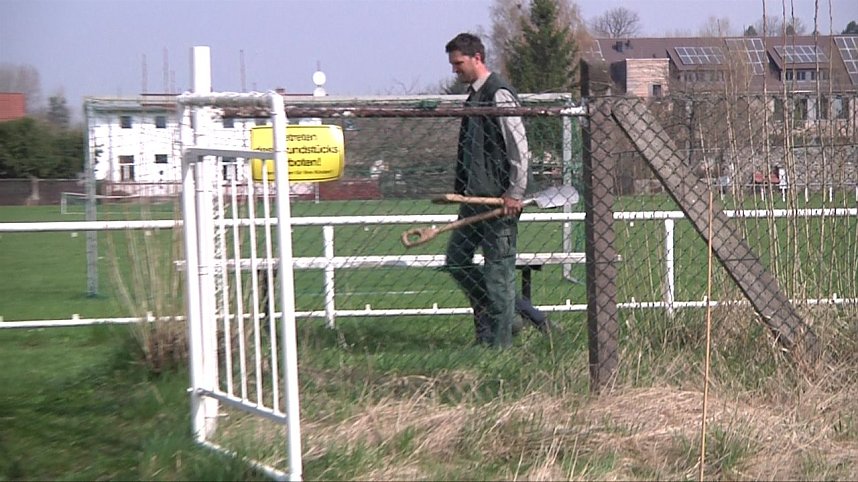 Laubb&auml;ume gepflanzt