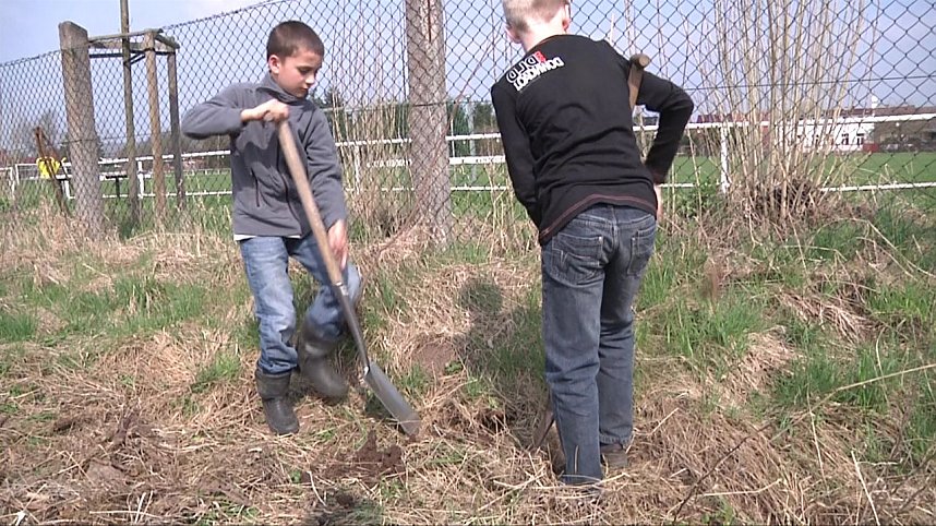 Laubb&auml;ume gepflanzt