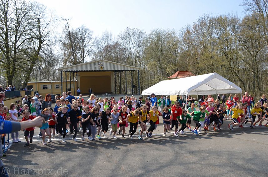 Crosslauf im Gehege
