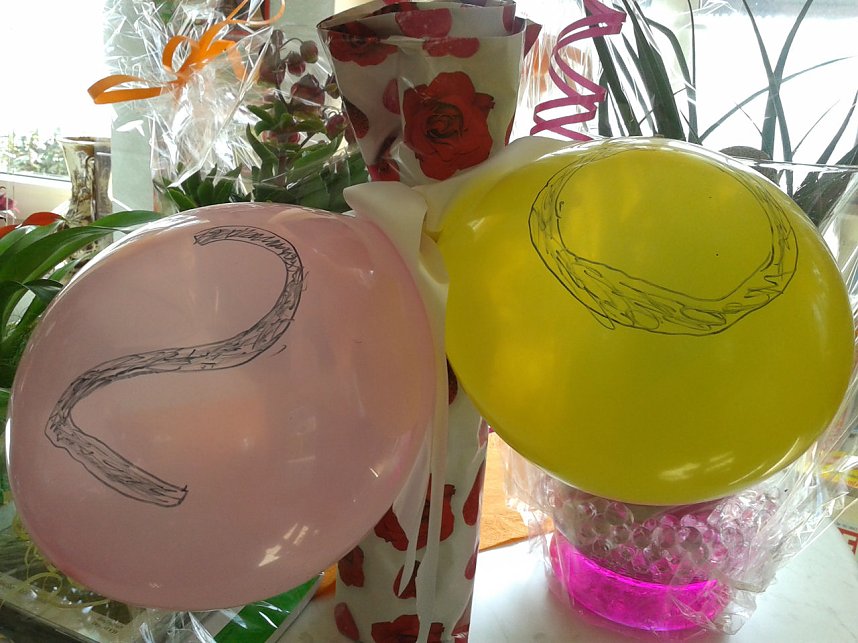 20 Jahre in Benneckenstein