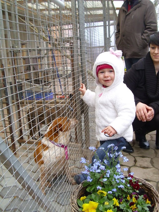 Fr&uuml;hlingsfest im Tierheim
