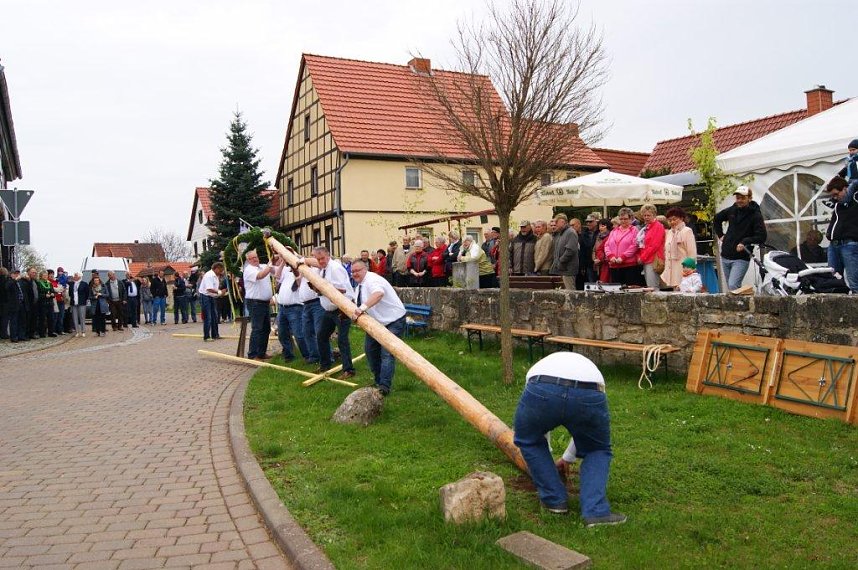 Maibaum in Obergebra gesetzt