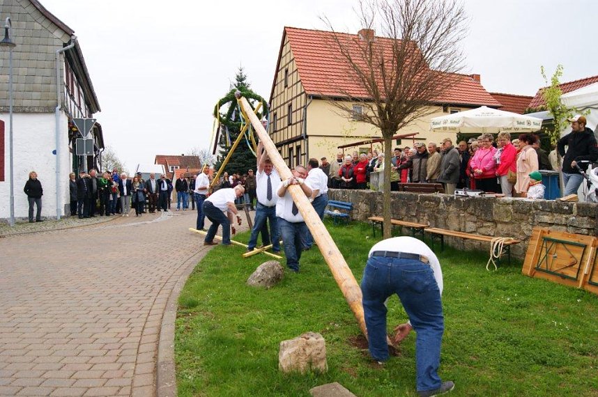 Maibaum in Obergebra gesetzt