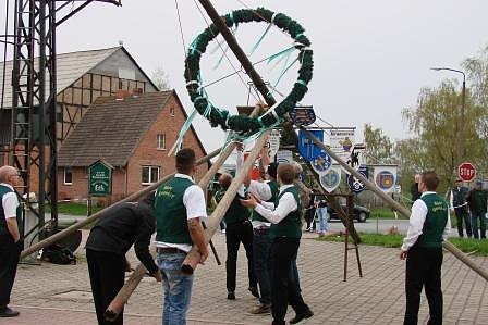 Maibaum in Bielen aufgestellt