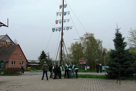 Maibaum in Bielen aufgestellt