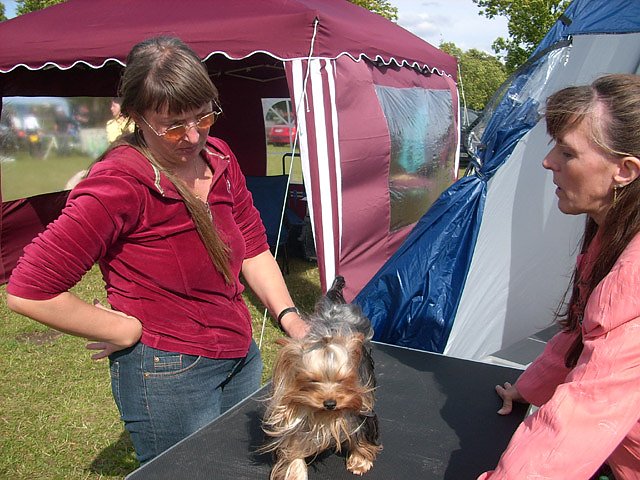 Spezialzuchtschau Hunde auf dem Possen