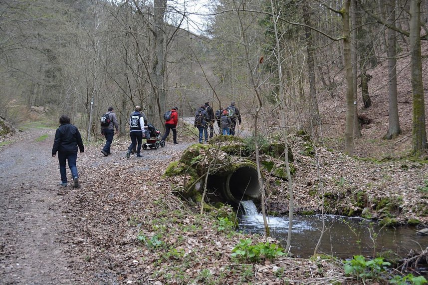 Durch's Steinm&uuml;hlental