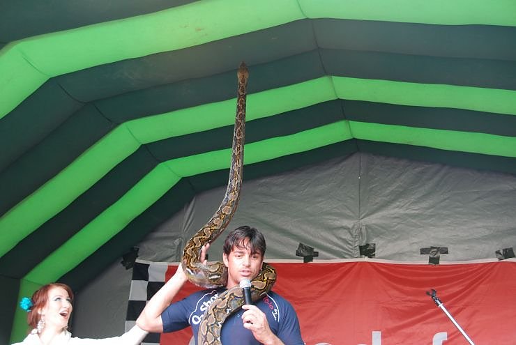 Schlangenshow auf dem Rathausplatz