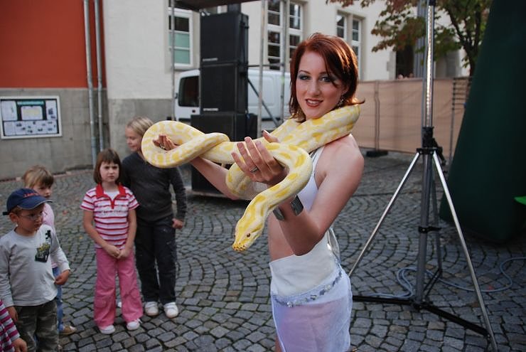 Schlangenshow auf dem Rathausplatz