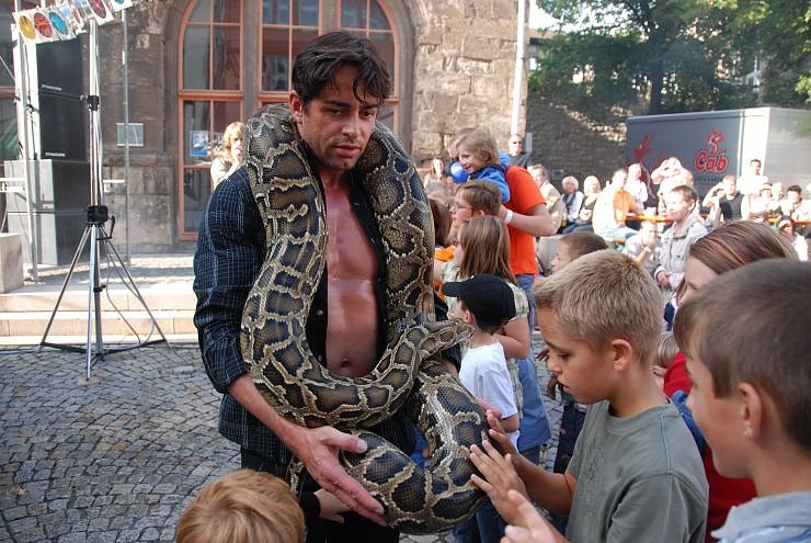 Schlangenshow auf dem Rathausplatz