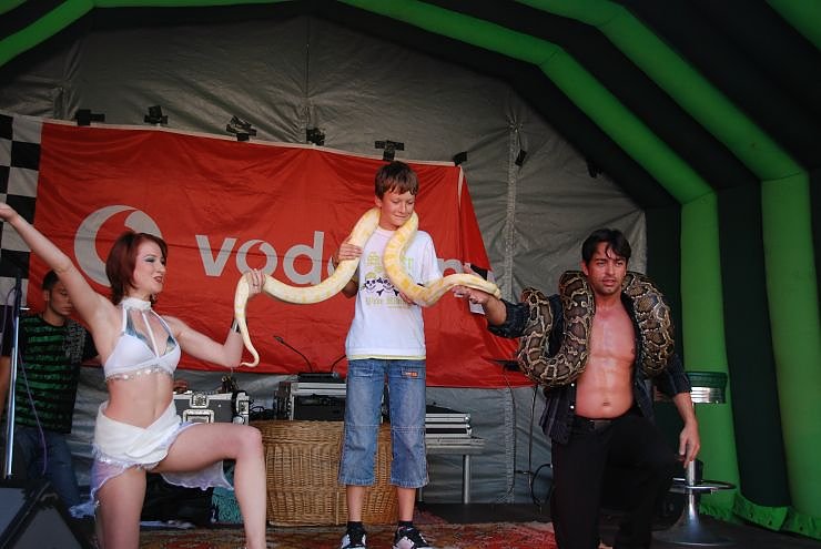 Schlangenshow auf dem Rathausplatz