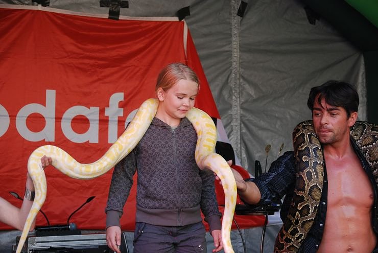 Schlangenshow auf dem Rathausplatz