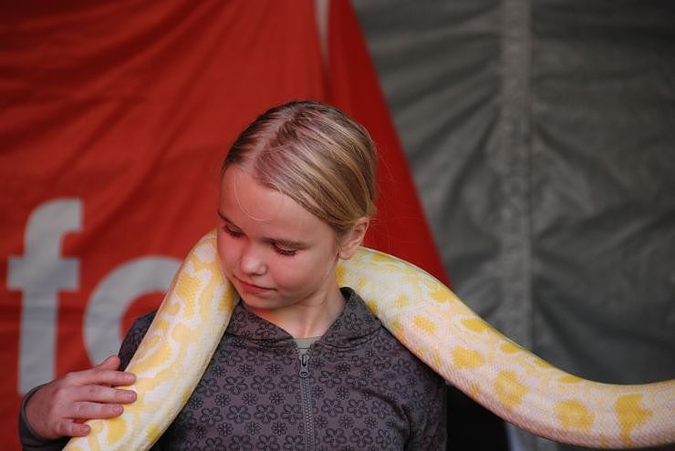 Schlangenshow auf dem Rathausplatz