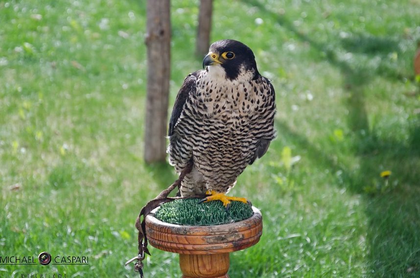 Mittelalter in Stolberg