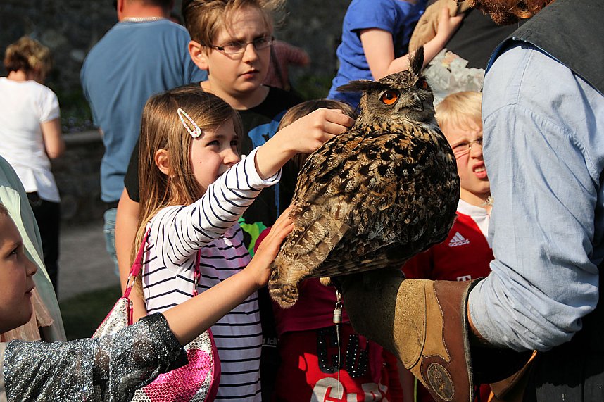 Ritterfest in Stolberg