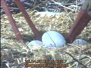 Jetzt sind es f&uuml;nf