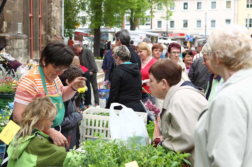 Zwischen Blumen und Fisch