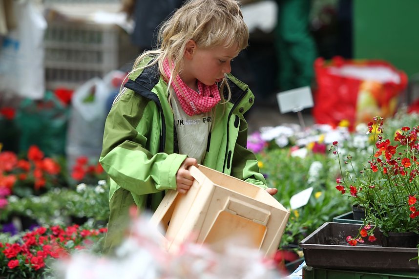 Zwischen Blumen und Fisch