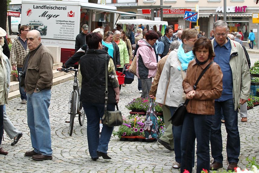 Zwischen Blumen und Fisch