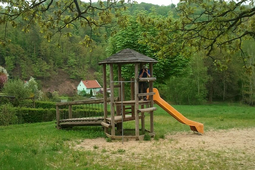 Arbeitseinsatz am Moosberg