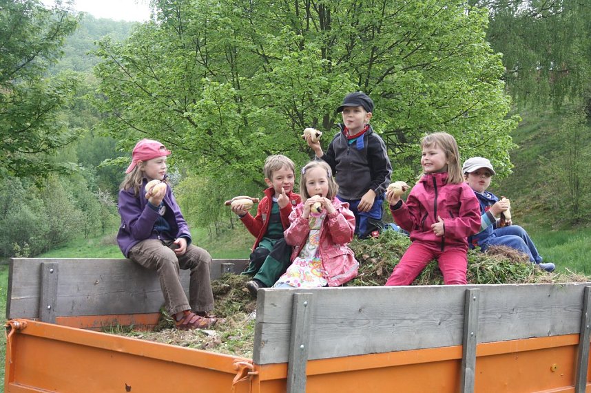 Arbeitseinsatz am Moosberg