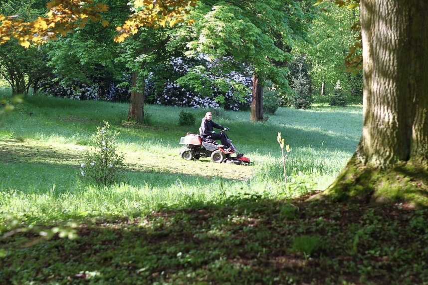 Arbeitseinsatz im Park Hohenrode