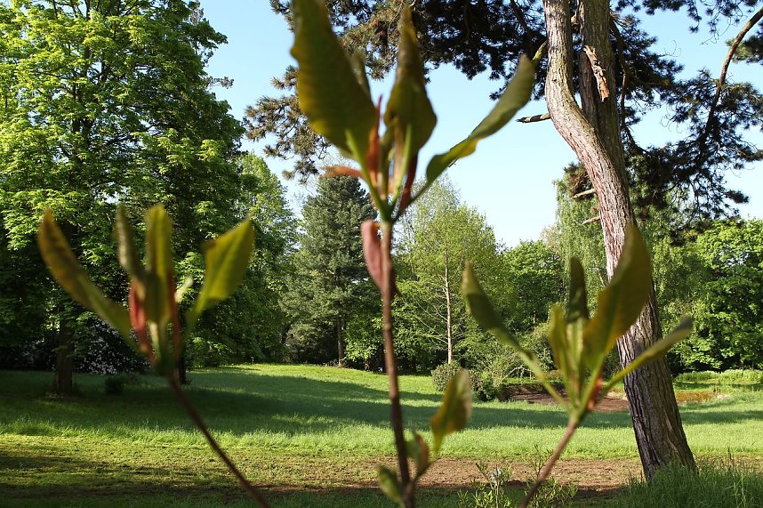 Arbeitseinsatz im Park Hohenrode