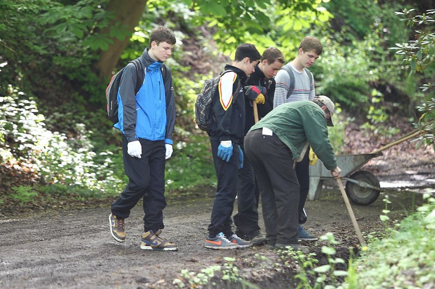 Arbeitseinsatz im Park Hohenrode