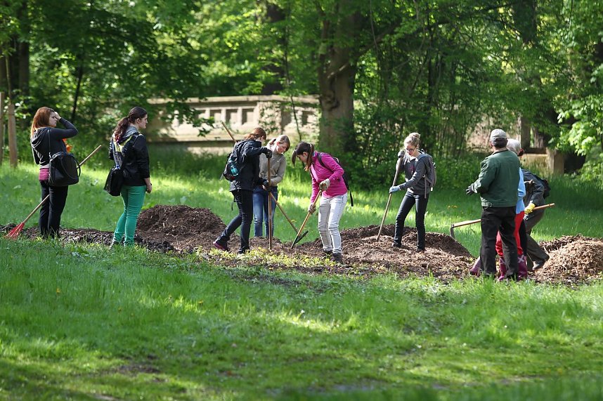 Arbeitseinsatz im Park Hohenrode