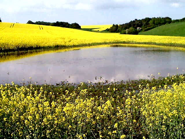 Unterwegs in der Natur