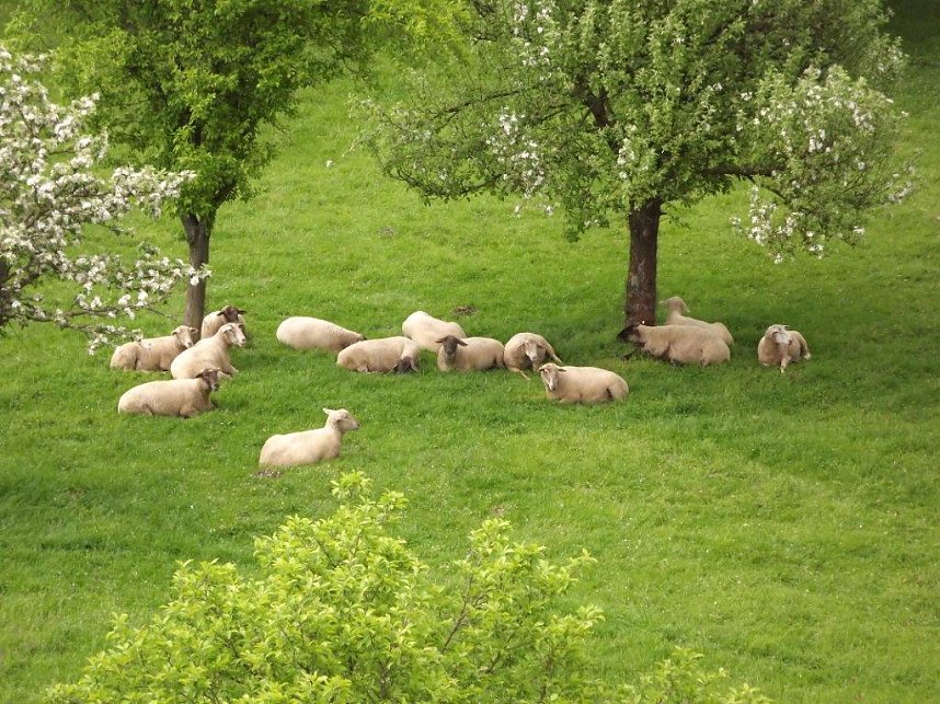 M&uuml;hlentag in Obergebra