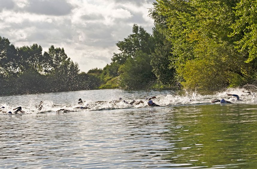 Internationales Flair am Scheunenhof