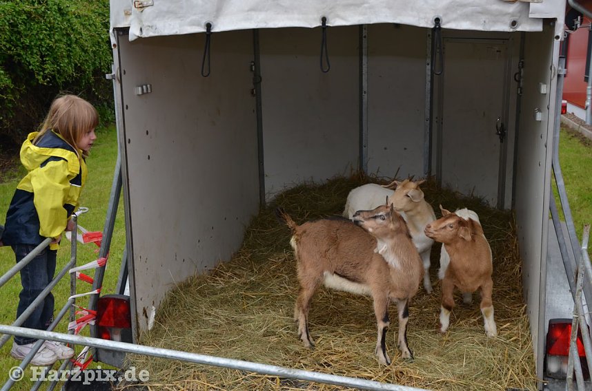 Kinderfest bei Gottert
