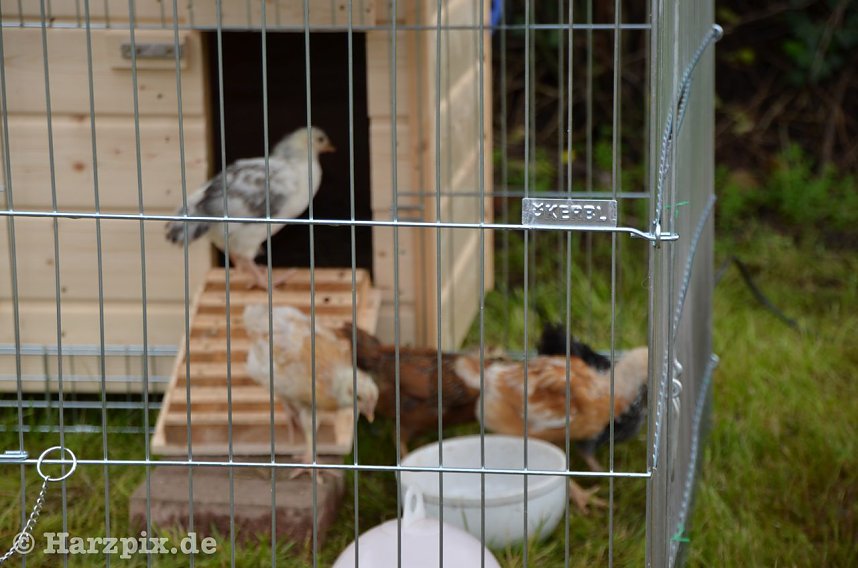 Kinderfest bei Gottert