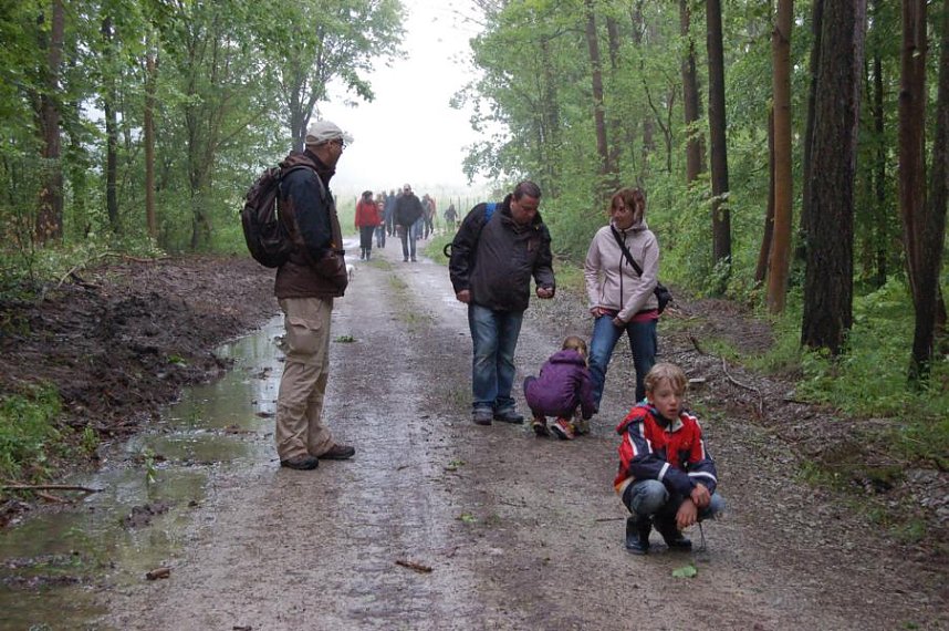 Die Nordh&auml;user Doppelk&ouml;rner im Helbetal