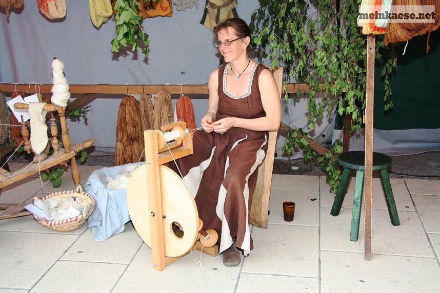 Th&uuml;ringentag 2013 in Sondershausen