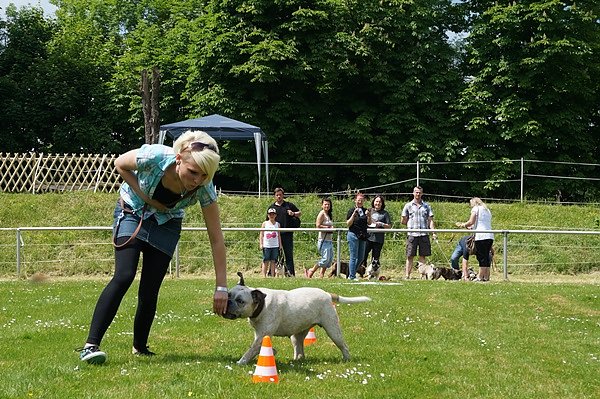 5. Nordth&uuml;ringer Bulldoggentreffen