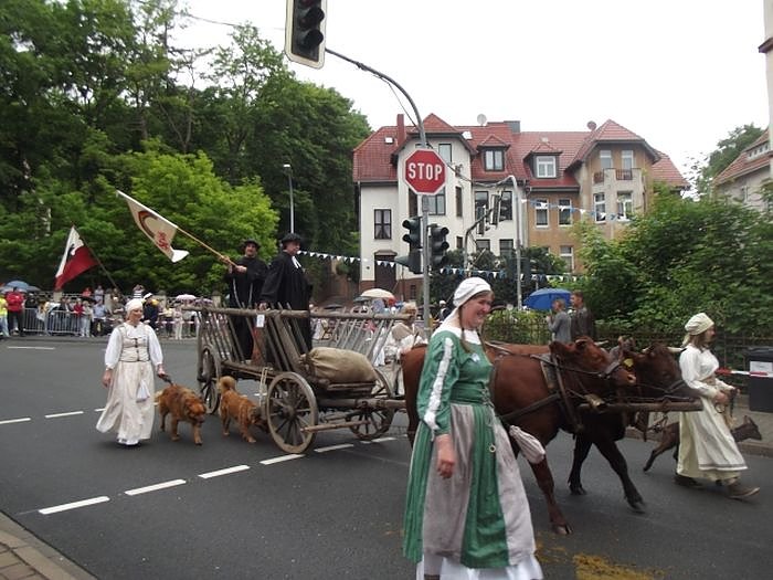 Weitere Bilder Festumzug (1)