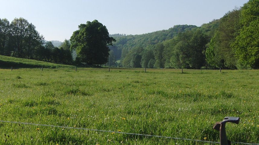 Unzerst&ouml;rbares Steinm&uuml;hlental