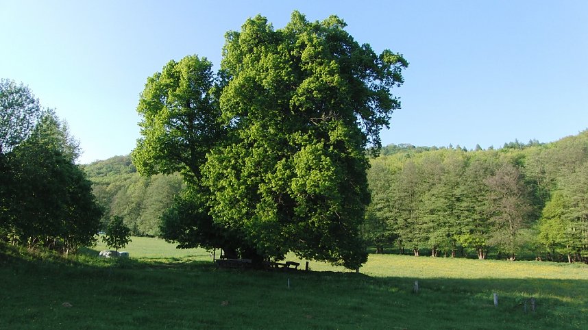 Unzerst&ouml;rbares Steinm&uuml;hlental
