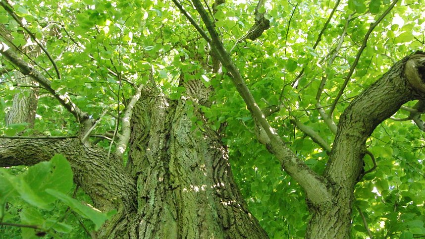 Unzerst&ouml;rbares Steinm&uuml;hlental