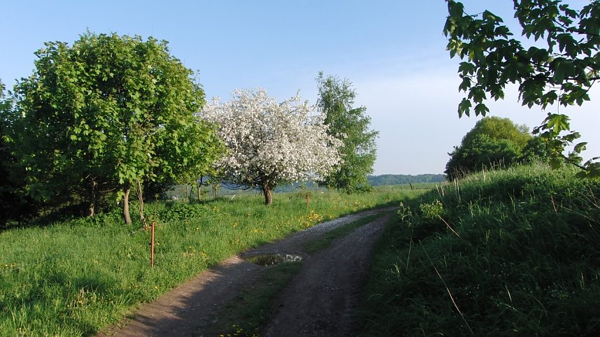 Unzerst&ouml;rbares Steinm&uuml;hlental
