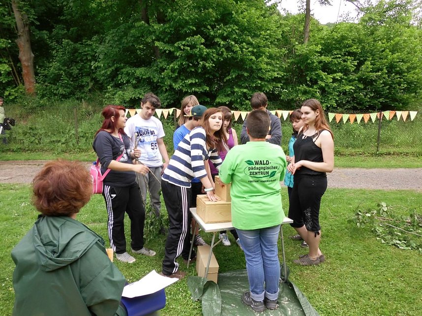 Den Wald kennengelernt