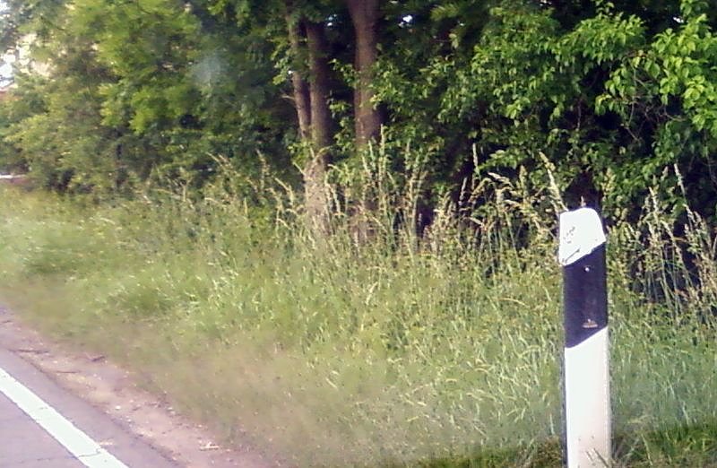 Chaoten auch in Werther